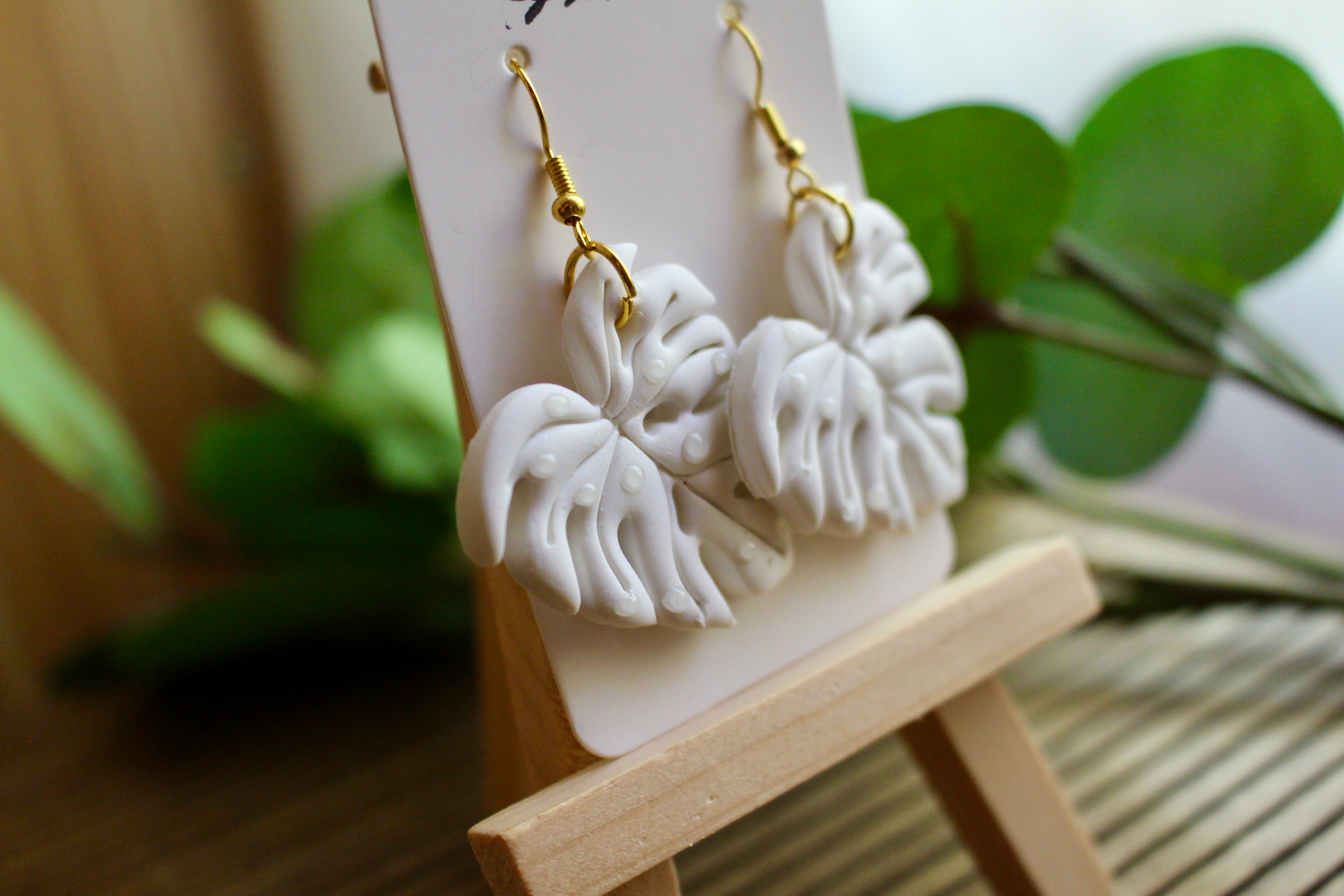 MONSTERA DANGLE